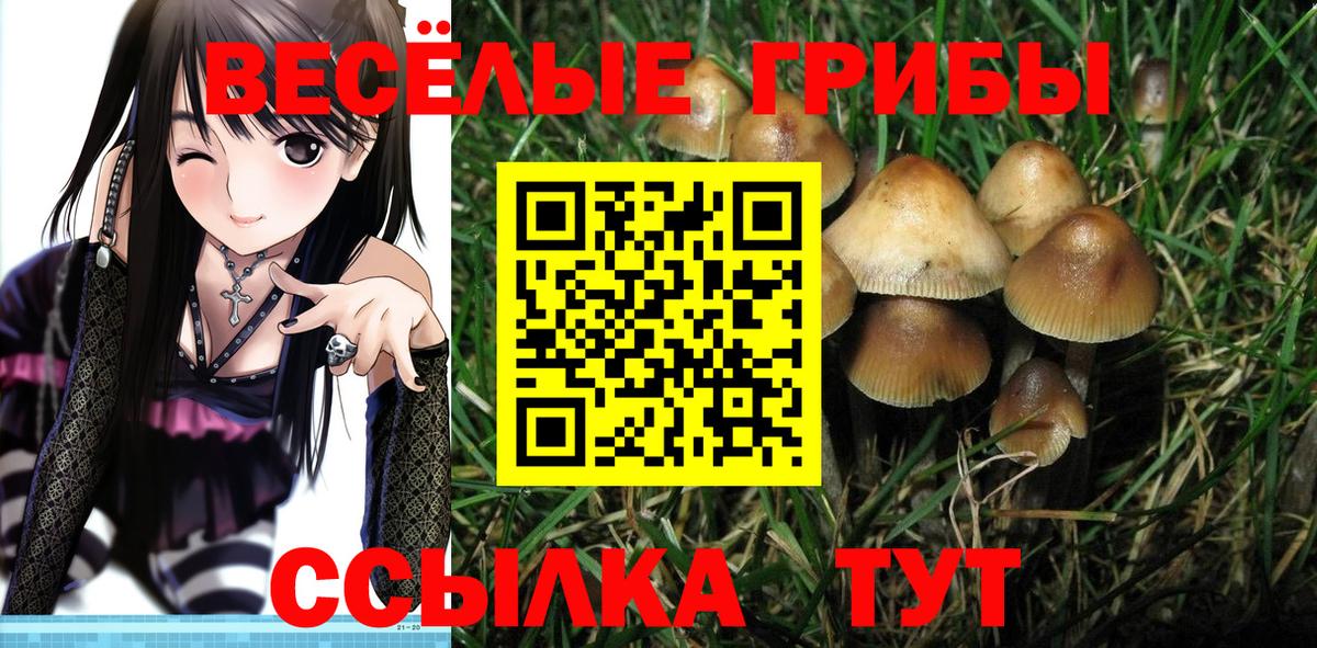 Галлюциногенные грибы GOLDEN TEACHER  Вход с VPN  Серпухов 